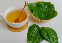 Minuman untuk Panas dalam yang Aman Dikonsumsi