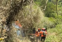 Kebakaran Hutan Semeru Meluas ke 600 Hektare, Jalur Pendakian Ditutup