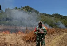 Karhutla Ijen, Titik Api Baru Muncul di Gunung Suket