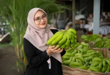 Pasar Asia Menanti, Pisang Cavendish Lumajang Perkuat Kualitas dan Pasokan