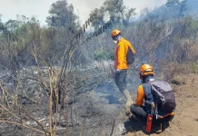 Titik Api Mendekati Ranupane, BPBD Lumajang Ingatkan Warga Pentingnya Kewaspadaa