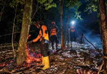 Karhutla Gunung Lemongan Padam, Kolaborasi dan Deteksi Dini Jadi Kunci