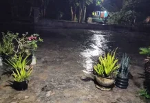 Wilayah Lumajang dan Jember di Guyur Hujan