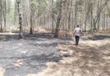 Polsek Pasirian dan Warga Padamkan Titik Api di Hutan Pantai Dampar