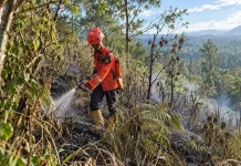 Api Karhutla TNBTS Padam, Pemantauan Pascakebakaran Tetap Dilakukan