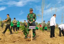 Kodim 0822 Bondowoso Tanam 1.000 Pohon untuk Penghijauan, Warga Diimbau Jaga Hutan