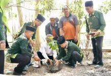 Teladani Ki Ronggo, 150 Guru Bondowoso Ziarah ke Makam dan Tanam Pohon