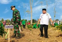 Musim Kemarau, Wabup Ingatkan Ancaman Kebakaran
