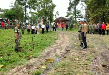 Ribuan Pohon ditanam di Buper Glagah Arum Lumajang