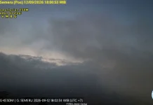 Gunung Semeru Mengalami Beberapa Kali Letusan