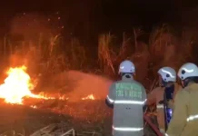 Dua Kebakaran Terjadi di Bondowoso Dini Hari