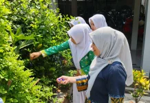 SMA 2 Bondowoso Olah Bunga Telang Jadi Minuman Berkhasiat