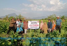 Pemdes Selomukti Batalkan Sewa Tanah Kas Desa
