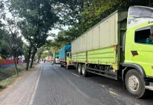 Kemacetan Ketapang-Gilimanuk Picu Tarif Logistik ke Bali Naik