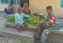 Kecipir Berpotensi Menjadi Usaha Ekonomi Keluarga Lumajang
