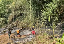 PMI Jember Perkuat Koordinasi Hadapi Karhutla di Tengah Kemarau Panjang
