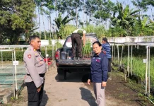 Polsek Jatiroto Pantau Pembibitan Tebu di Puslit Sukosari