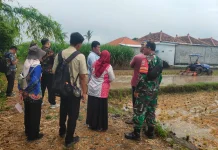 TNI di Lumajang Dorong Produktivitas Pertanian