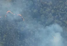 Titik Api Baru Muncul di Cagar Alam Gunung Merapi Ungup-Ungup Ijen