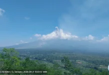 Erupsi Semeru, Kolom Abu 500 Meter Mengarah ke Timur Laut
