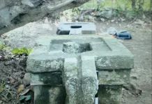 Dua Yoni Pocangan Raib, Jejak Sejarah Klasik Jember Terancam