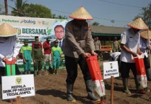 Dukung Ketahanan Pangan, Polres Serahkan Bibit Jagung ke Sekolah