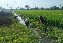 TNI dan Petani Bersihkan Irigasi Dukung Pengairan Sawah