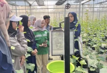 Polije Terapkan Smart Yellow Trapping Berbasis Energi Surya Atasi Hama