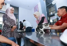 GOCAT+R, Cara Banyuwangi Pertahankan Status Zero Rabies
