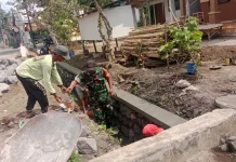 Drainase 100 Meter Dibangun untuk Dukung Pengairan Pertanian Lumajang