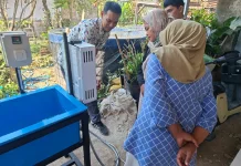 Polije Dampingi Petani Bondowoso Tingkatkan Mutu Mangga hingga Pascapanen