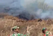 Karhutla Kembali Terjadi, Black Lava Jadi Sasaran Amukan Api