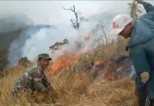 Karhutla di Kawasan TNBTS Senduro Mulai Mereda