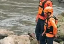 Tim SAR Gabungan Cari Lansia 79 Tahun Diduga Tenggelam di Sungai Bondoyudo