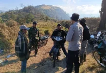 Intensitas Kebakaran Meningkat, TNBTS Perketat Pengawasan Kawasan