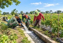 Lumajang Siapkan Enam Irigasi Perpompaan