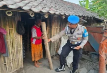 Seorang Kakek di Lumajang Kehilangan Dua Ekor Sapi