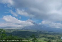 Gunung Semeru Erupsi, Kolom Abu Capai 800 Meter