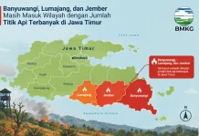 Jember, Lumajang dan Banyuwangi Masuk Wilayah dengan Hotspot Terbanyak di Jatim