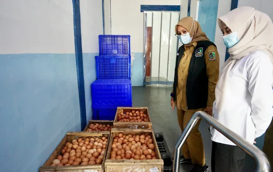 BGN Tangguhkan Tiga SPPG di Banyuwangi