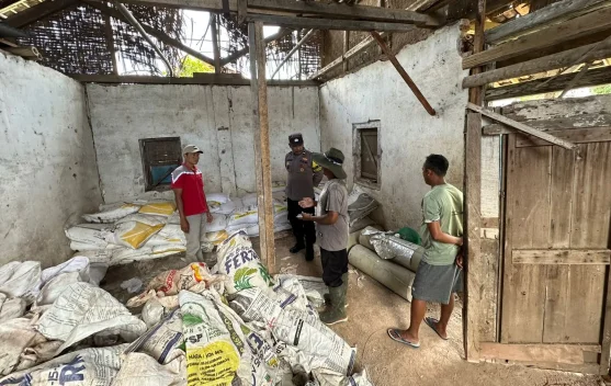 Pria Glenmore Kepergok Curi Pupuk Kebun