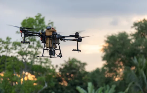 Drone dan AI Bantu Petani Mengatasi Gulma di Lahan Pertanian