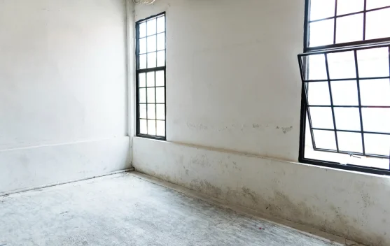 Mengatasi Kamar Lembap: Penyebab, Bahaya, dan Solusinya