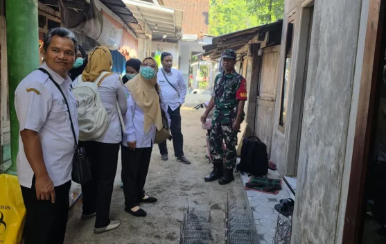 Dinkes Bondowoso Intensifkan Trapping Tikus Cegah Leptospirosis