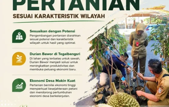 Lumajang Kembangkan Pertanian Sesuai Karakteristik Wilayah