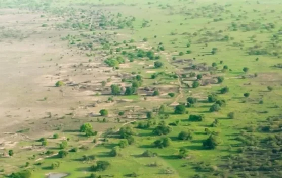 Great Green Wall, Upaya Afrika Menekan Wilayah Gurun yang Semakin Melebar
