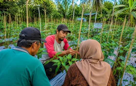 Aparatur Pemdes Pundungsari Beri Teladan Ketahanan Pangan Lewat Budidaya Cabai