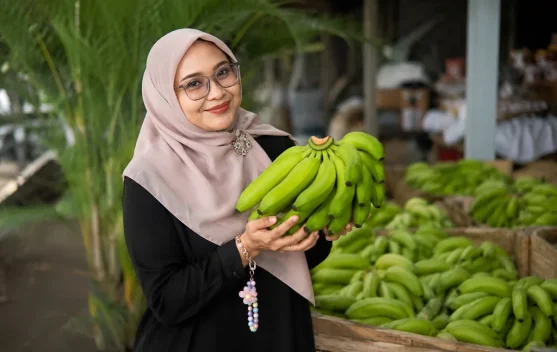 Pasar Asia Menanti, Pisang Cavendish Lumajang Perkuat Kualitas dan Pasokan