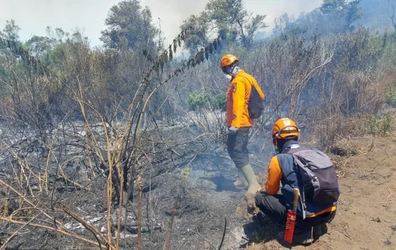 Titik Api Mendekati Ranupane, BPBD Lumajang Ingatkan Warga Pentingnya Kewaspadaa