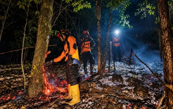 Karhutla Gunung Lemongan Padam, Kolaborasi dan Deteksi Dini Jadi Kunci